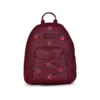 Balo Jansport (USA) Half Pint FX 10.2L – JS0A3C4J