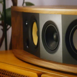 Loa Không Dây Hi-End JBL L42MS - Ảnh 4