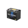 Pin EcoFlow Lithium 12V 100Ah Deep Cycle LiFePO4 Battery