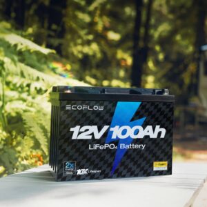 Pin EcoFlow Lithium 12V 100Ah Deep Cycle LiFePO4 Battery