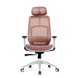 Ghế Công Thái Học HyperWork Airy